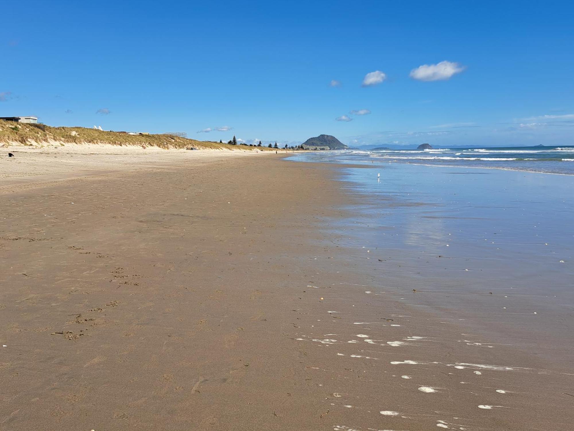 Sunbrae Beach Sanctuary Free High Fibre Wifi Mount Maunganui Εξωτερικό φωτογραφία