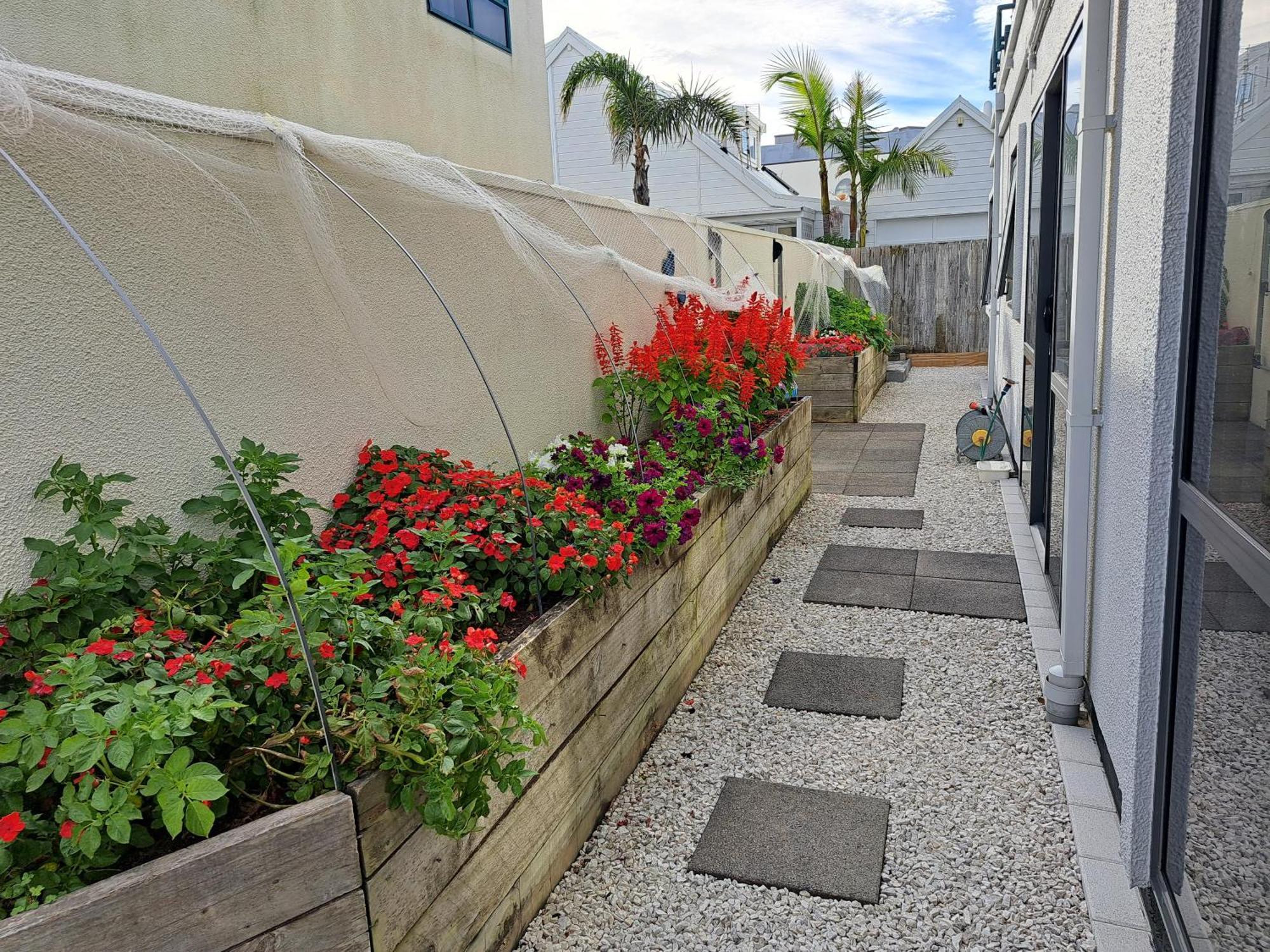 Sunbrae Beach Sanctuary Free High Fibre Wifi Mount Maunganui Εξωτερικό φωτογραφία